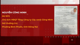 Truy nã đặc biệt Chủ tịch HĐQT Tổng công ty Cây xanh Công Minh